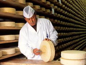 Сыр «Российский» проверят на качество