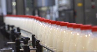 В Омской области обнаружили фальсифицированную молочную продукцию