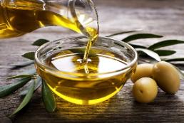Оливковое масло: польза для людей, вред для природы