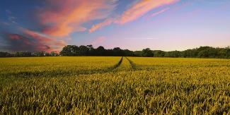 Фермерский рай: 7 удачных стран для аграриев