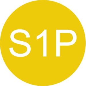S1P - защитный подносок, амортизация в области пятки, антипрокольная стелька
