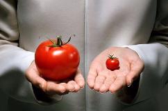 ГМО в пищевой промышленности: 3 причины «за», 3 причины «против»