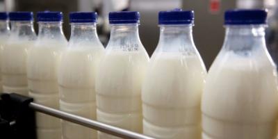 Молочному производству – доступный кредит