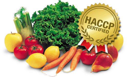 Haccp_certified