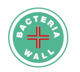 bacteria wall.jpg